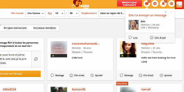 Capture d'un profil consulté durant le test