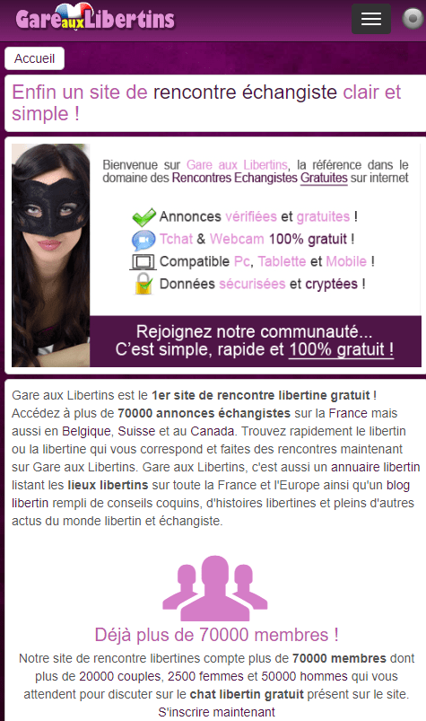 Interface du site consultée pendant le test
