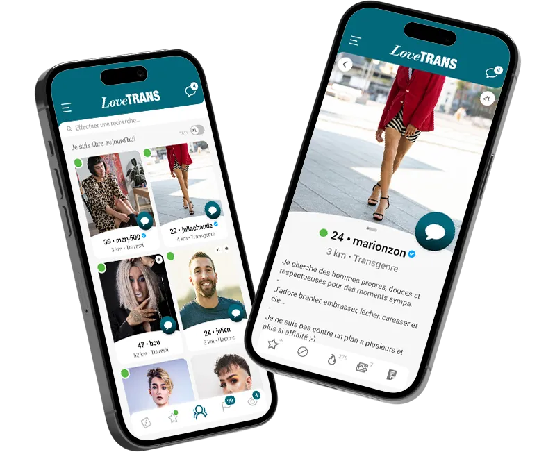 Autre aperçu de l'interface LoveTrans
