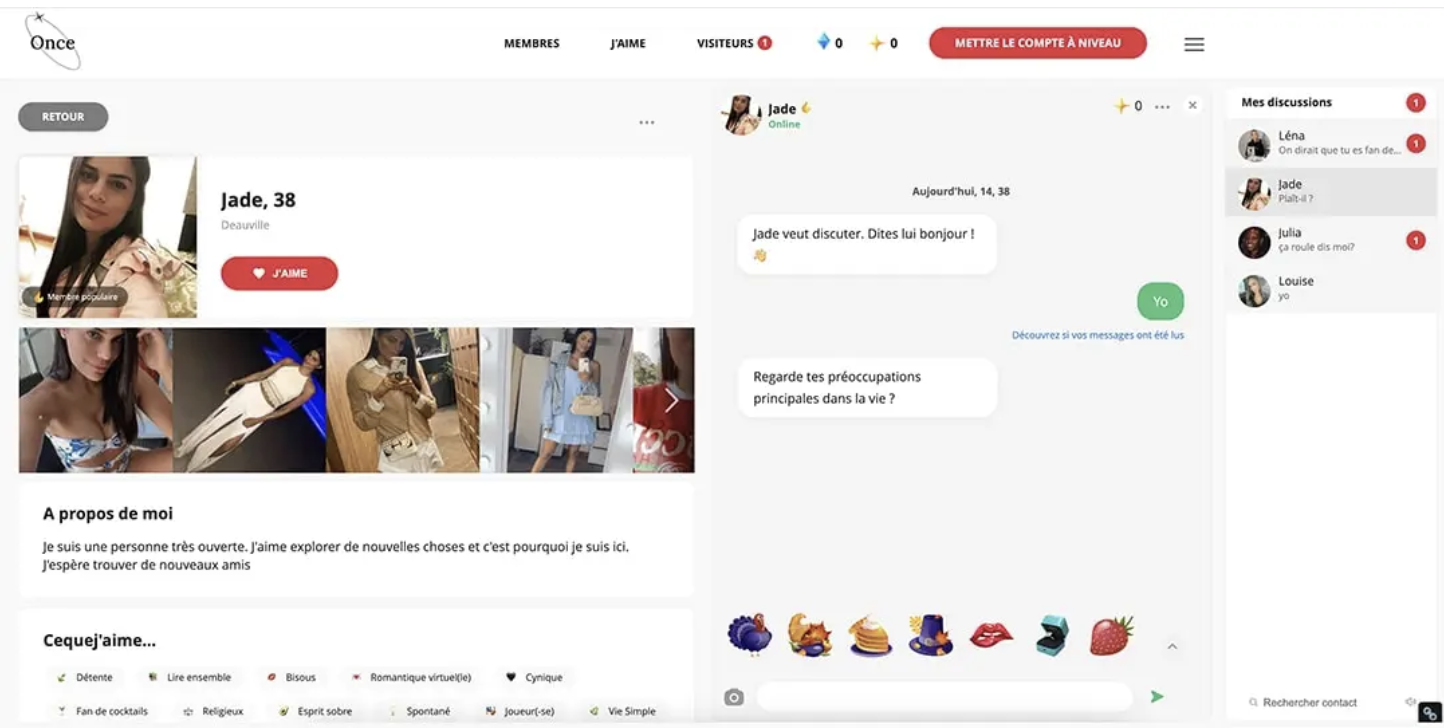 Interface de sélection de profils